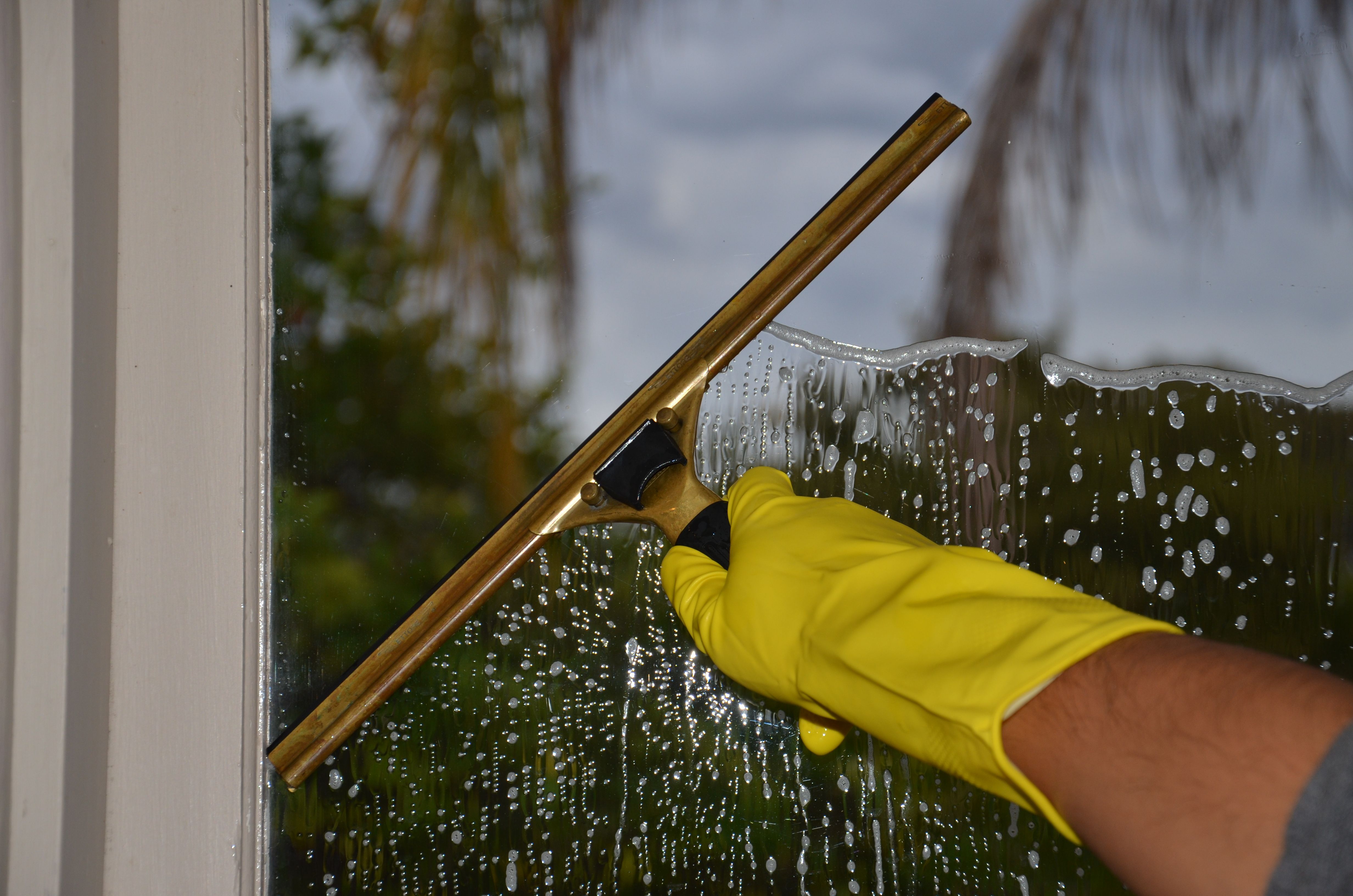 Window cleaning service